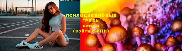 спиды Алексин