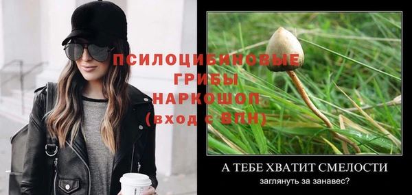 спиды Алексин