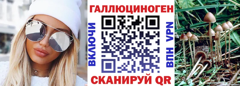 мориарти телеграм  blacksprut tor  Уяр  Псилоцибиновые грибы мицелий 